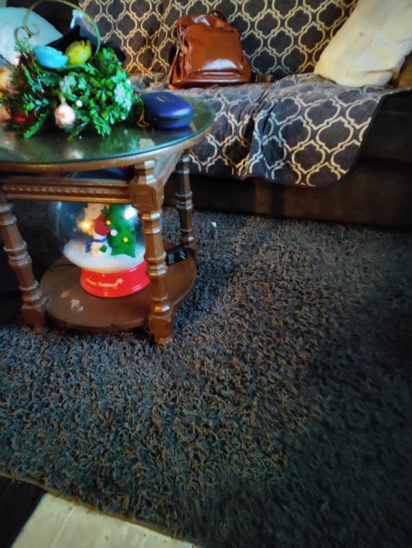 My rug in the living room