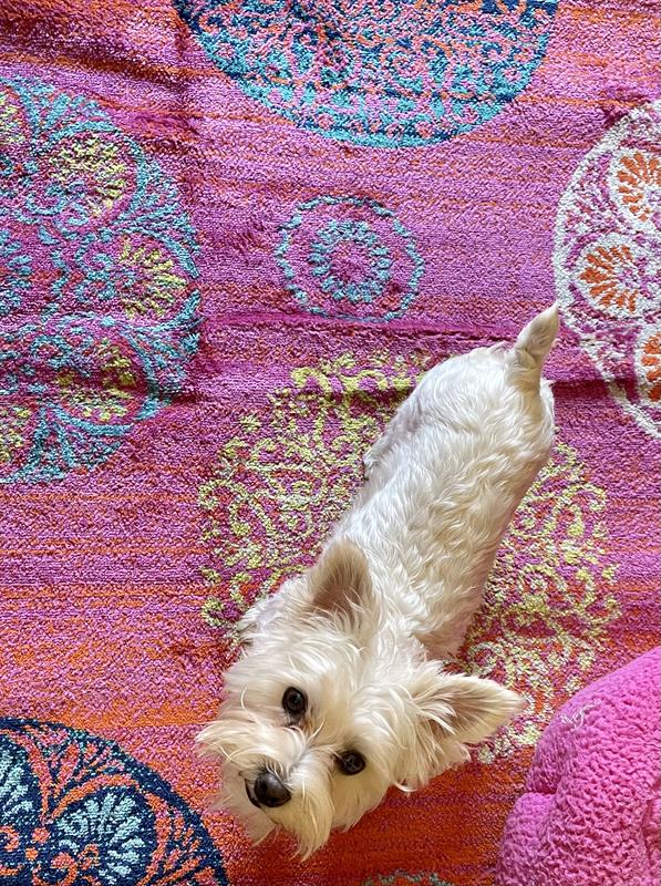 Grahambo gives the ok!