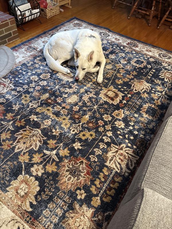 My pup really likes the rug too!
