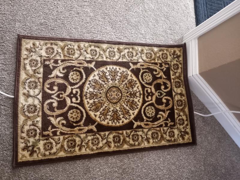 The Small Rug