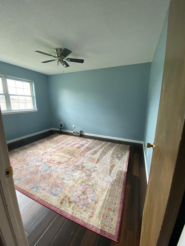 New rug with new room