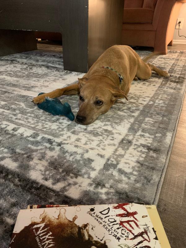 Chillaxing on her new rug!