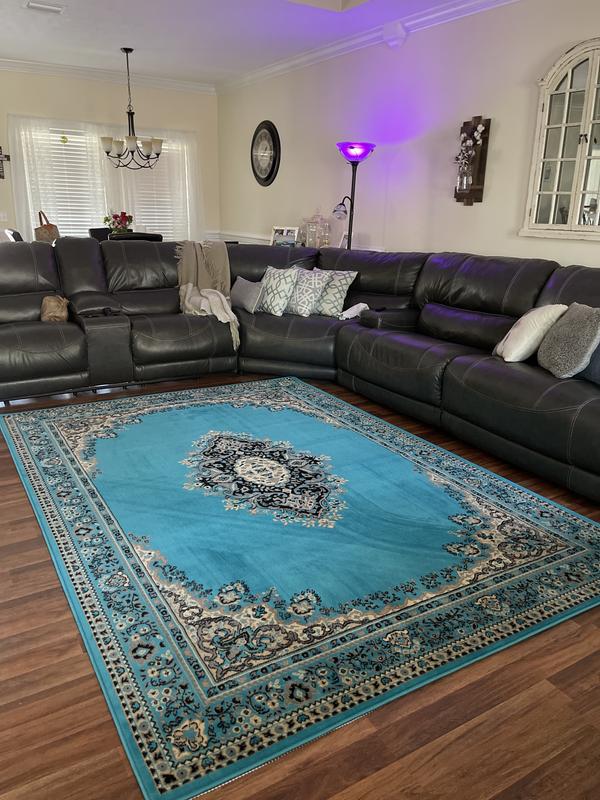 10' x 14' Amaya Rug