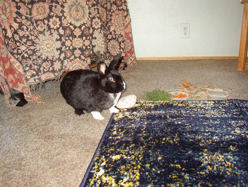 For me?! Really?! For ME?!!