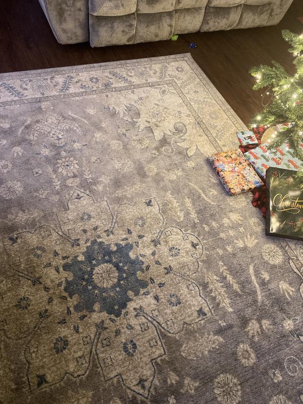 Blue highlights and grey color