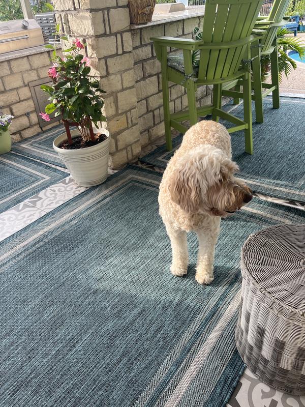 Photo from Nancy Dement