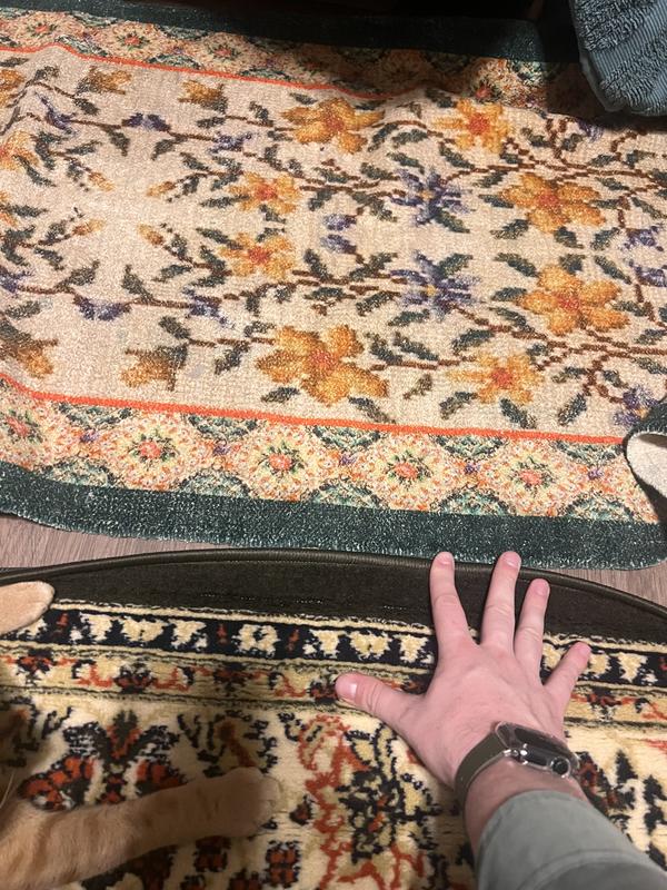 Rug next to an actual green rug