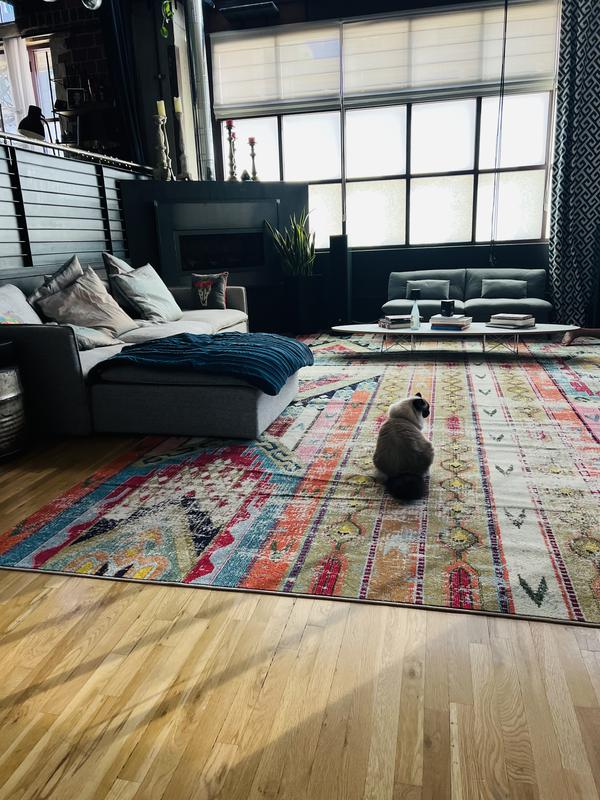 JUST FANTASTIC‼️‼️‼️