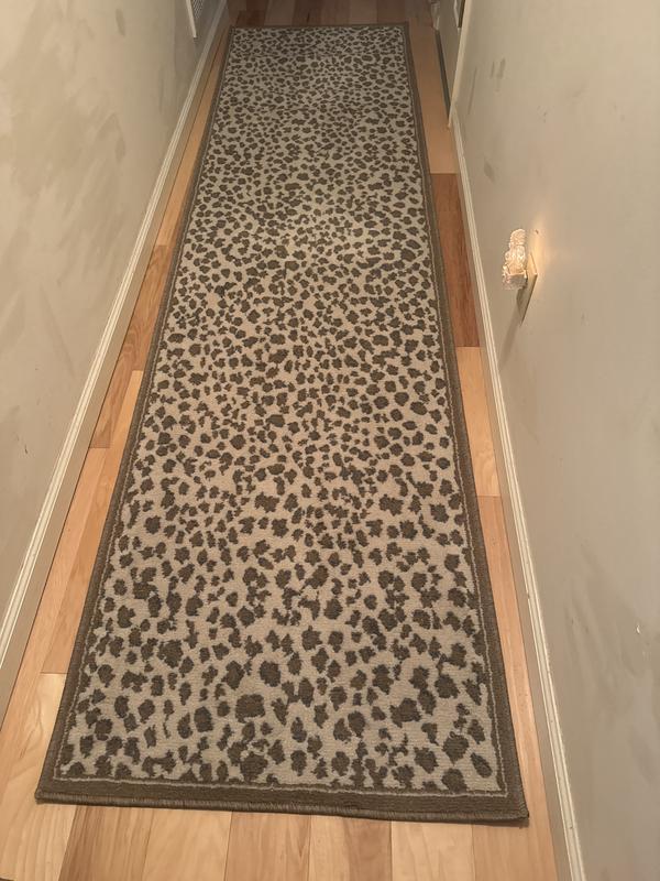 2' x 3' Savannah Rug