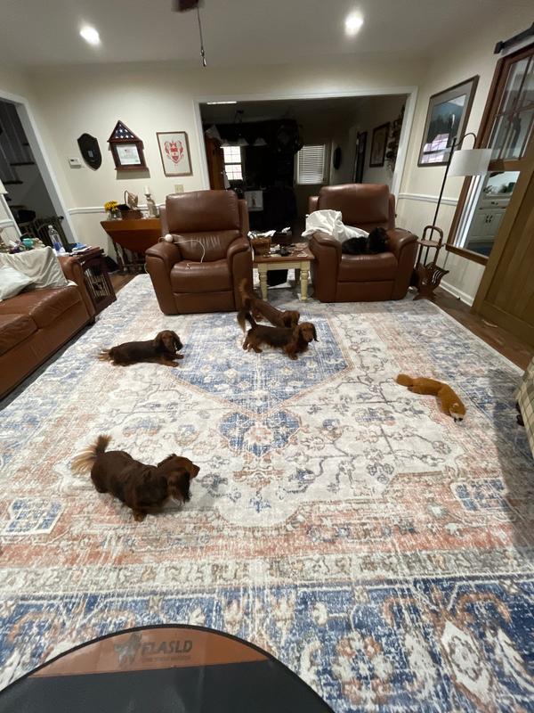 nuLoom Jacquie Rug - Macy's