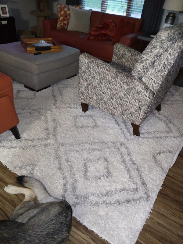 Perfect living room rug