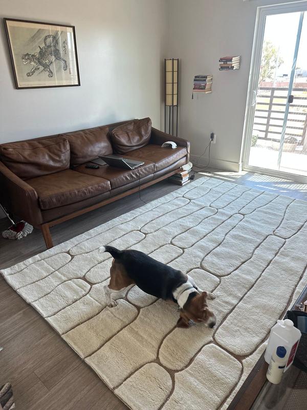 nuLOOM Nazco Abstract New Zealand Wool 8ft. x 10ft. Charcoal Area Rug ...