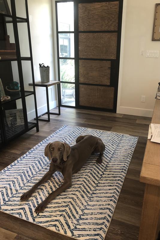 nuLOOM Rosanne Machine Washable Geometric Rug in Blue Bed Bath & Beyond