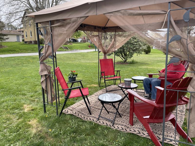 Carpet in the canopy