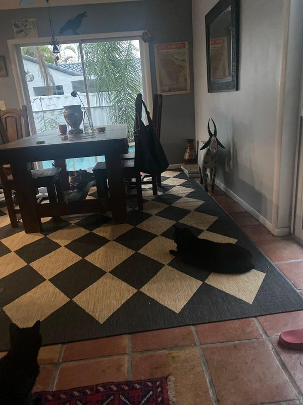 Photo from J. Zorada P.