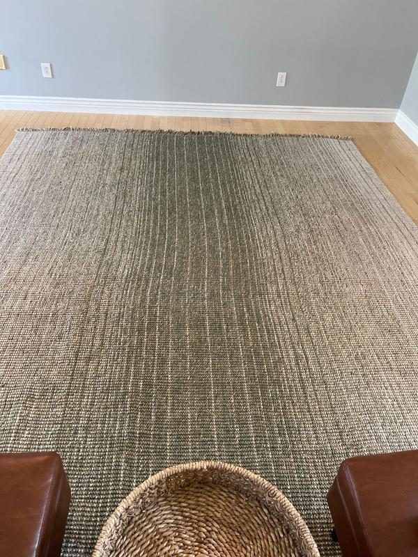 nuLOOM Winifred Ombre Jute Blend 4ft. x 6ft. Green Area Rug in the Rugs ...