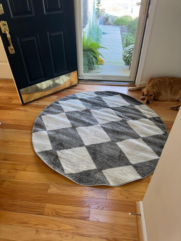 nuLOOM Gianna Modern Geometric Checker Tile Gray 5 ft. Round Area