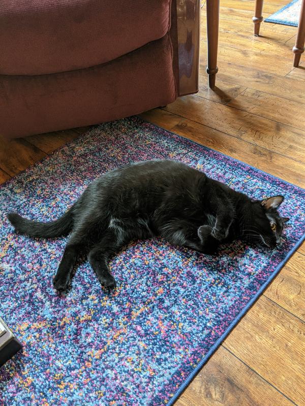 Variety of rugs. Rectangle, runner and others.