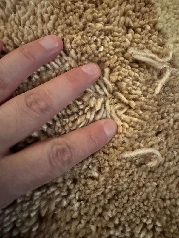 DASH & ALBERT Silja 5 x 8 Bordered Rug in the Rugs department at Lowes.com