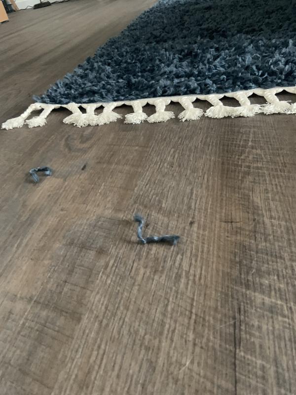 Pieces pulled from rug by 8 month old