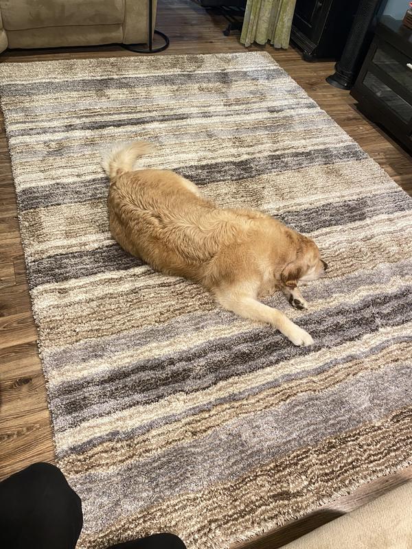 Flynn loves the new rug!