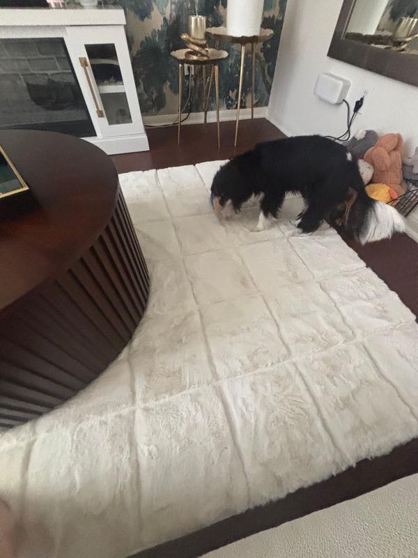 Rugs USA Padma Lakshmi Tessera Grid Plush Cloud Washable Rug 3ft. x 5ft ...