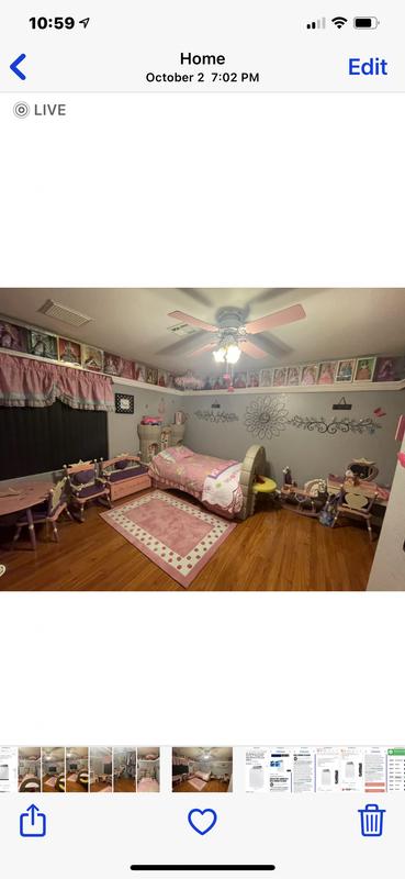 Mauldin 8 X 10 (ft) Pink Border Kids Area Rug at Lowes.com