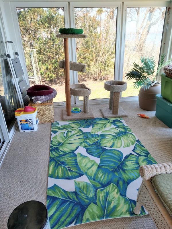 Adds pop of color to plain rug beneath