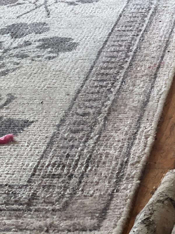 Rugs USA Padma Lakshmi Floris Hand-Tufted Floral Wool-Blend Rug 3ft. x ...
