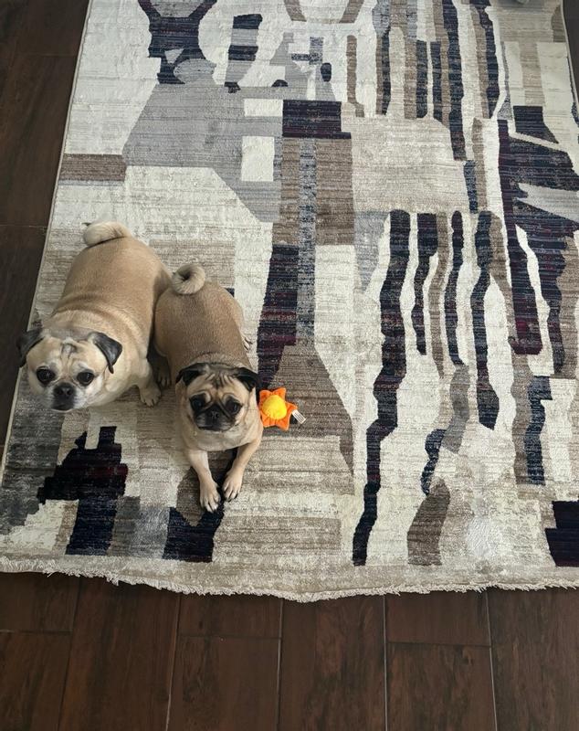 nuLOOM Bheri Abstract 5ft. x 7ft. 10in. Beige Area Rug in the Rugs ...
