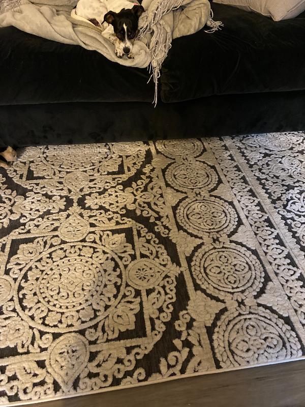 nuLOOM 4 X 6 (ft) Beige Indoor Floral/Botanical Area Rug YKHB01A-406 at ...