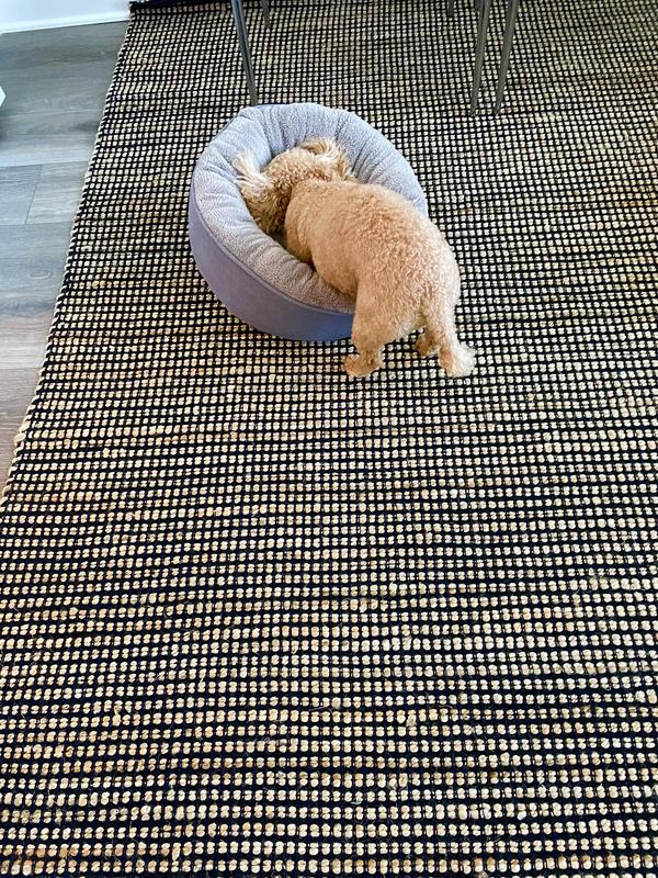 Home Conservatory Jute Ivory/Natural Indoor Geometric Coastal Area Rug ...