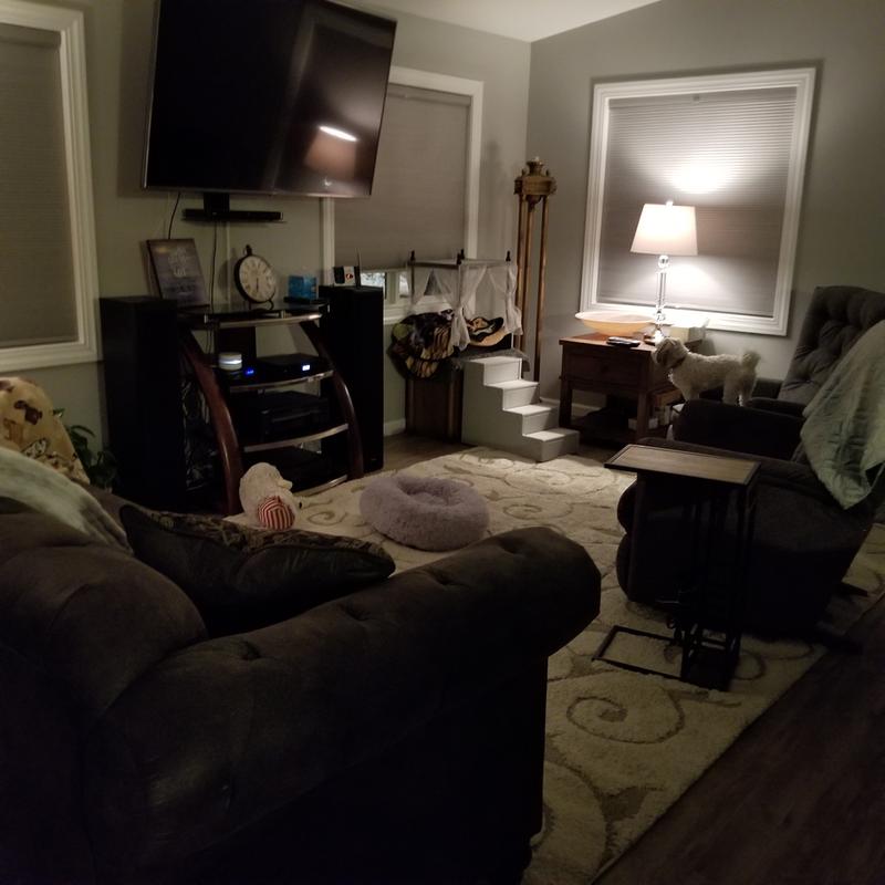 Dining and living room areas