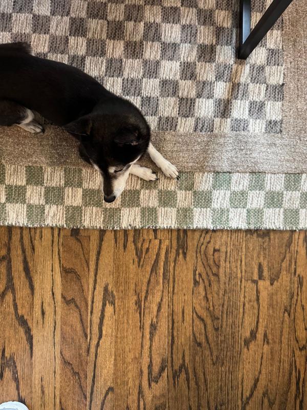 nuLOOM Carmeon Hamilton Memphis Modern Checkered Hand Woven Rug in the ...