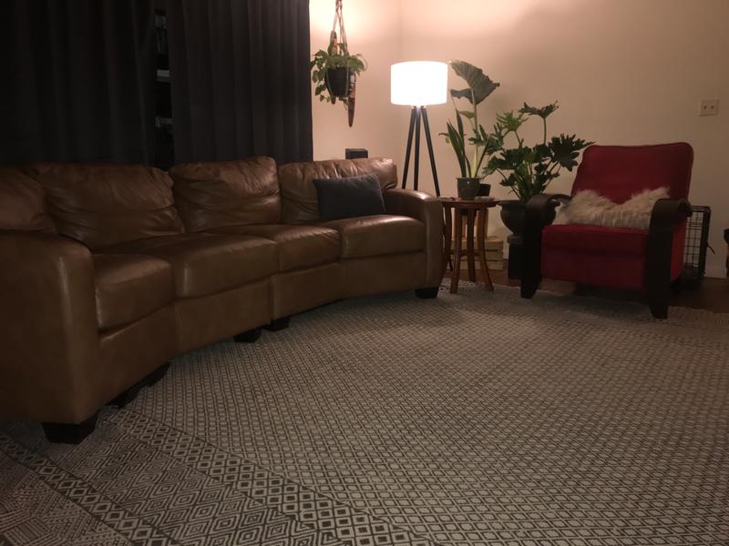 Living room & Pet approved!