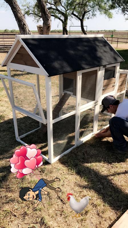 Hen House Chicken Coop Architectural Designs