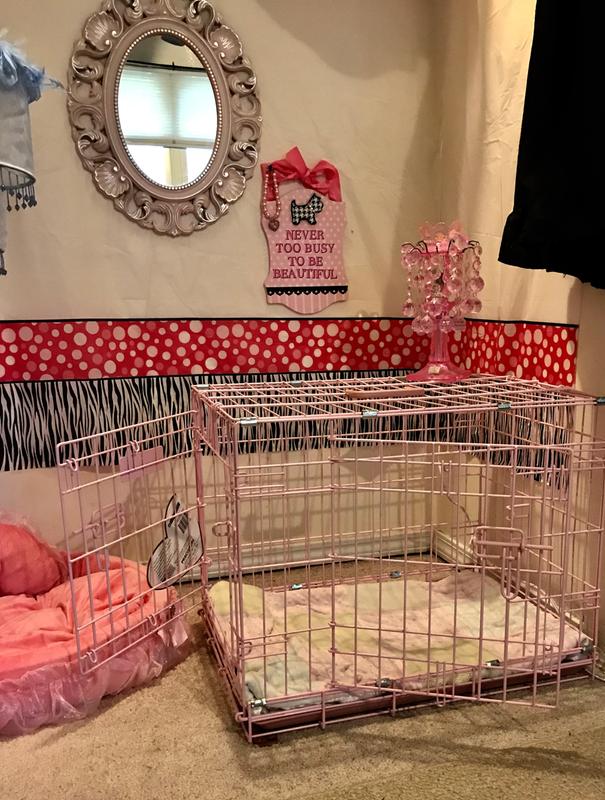 rural king large dog kennel