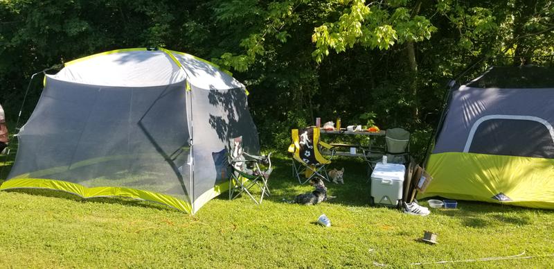 rural king bark collar