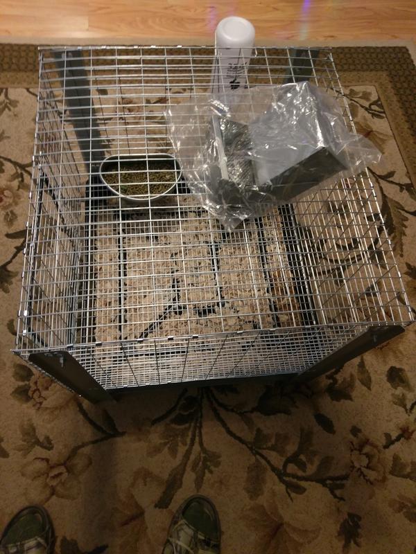 30x36 rabbit cage