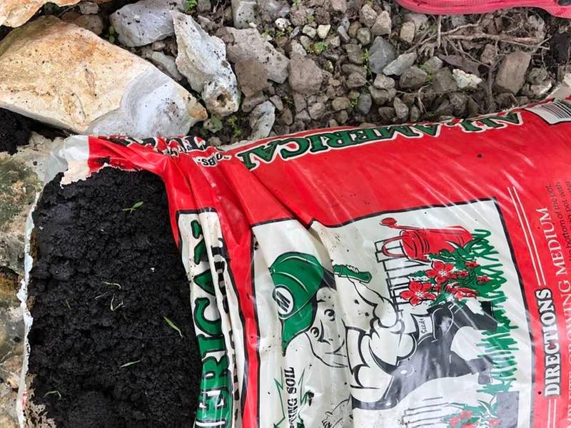 All Purpose Potting Soil Ap 4