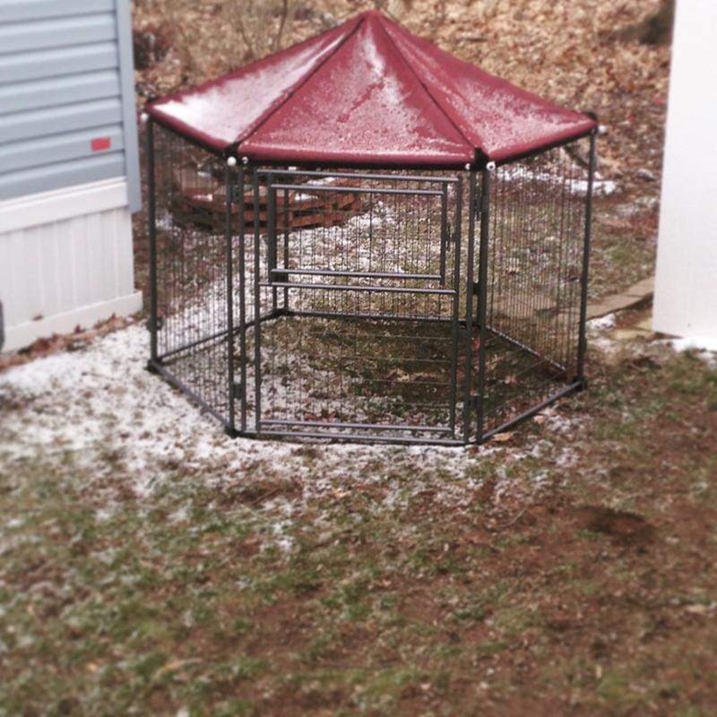 outdoor dog kennel rural king