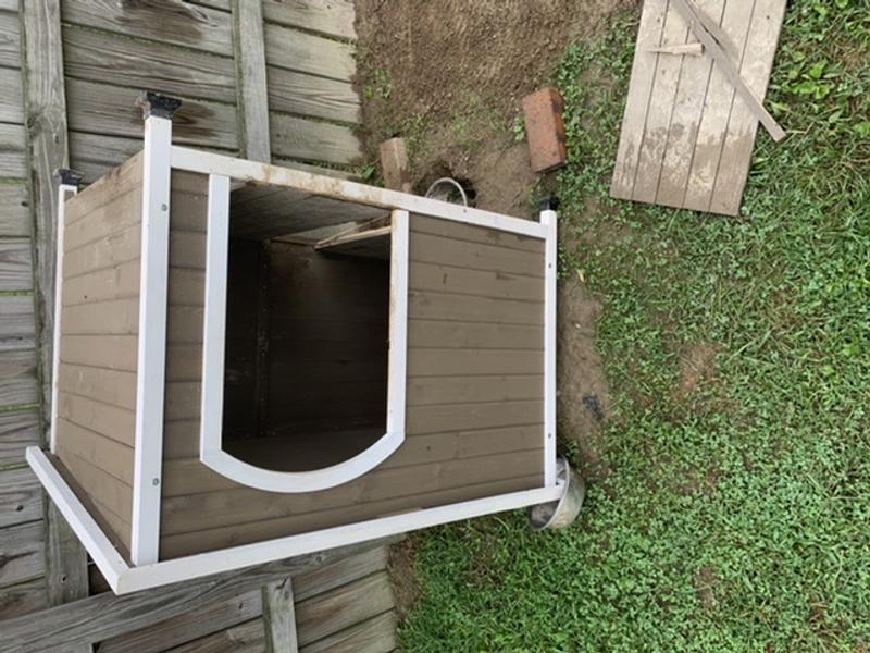 Dog house rural clearance king