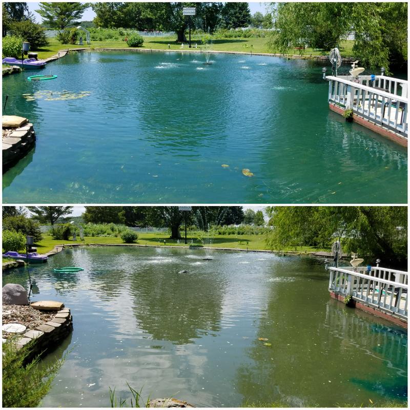 Pond Champs Blue Lake & Pond Dye, 1 Gallon - 11500