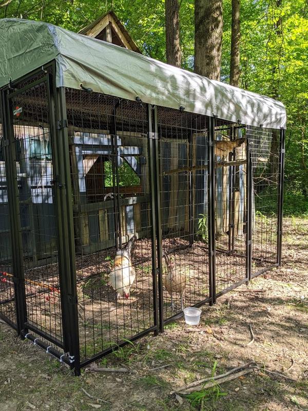 rural king dog kennel panels
