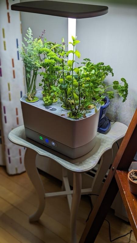 Photo - commentaire 5.