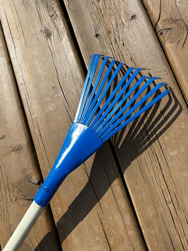 Photo - commentaire 3.