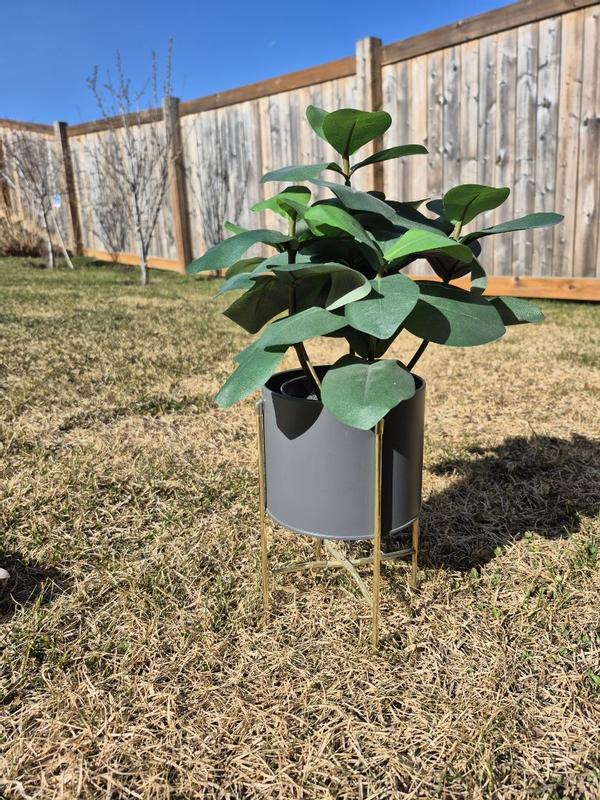 Photo - commentaire 8.