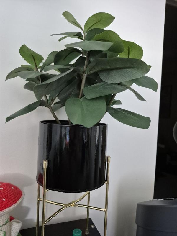 Photo - commentaire 7.