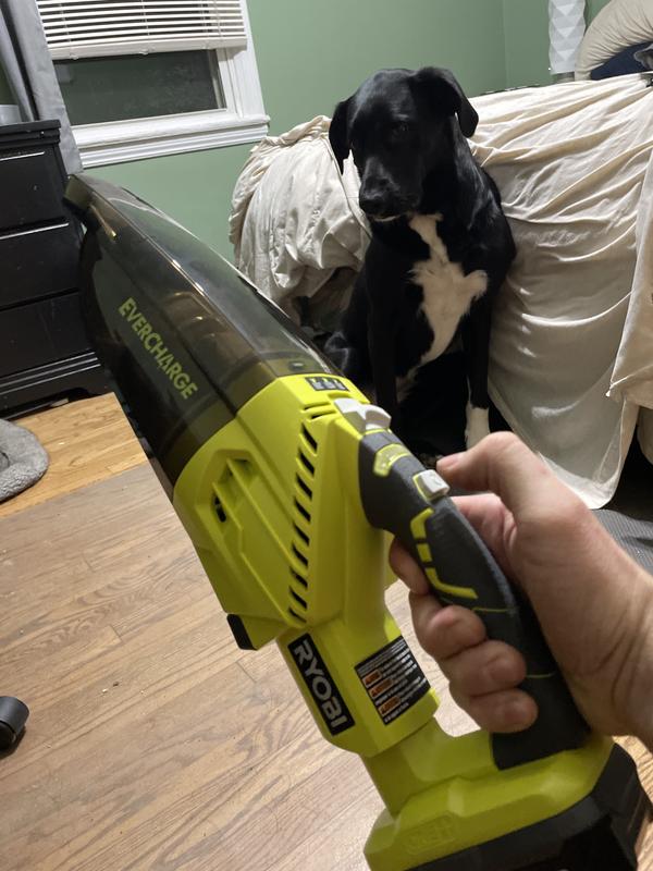 Ryobi best sale evercharge vacuum