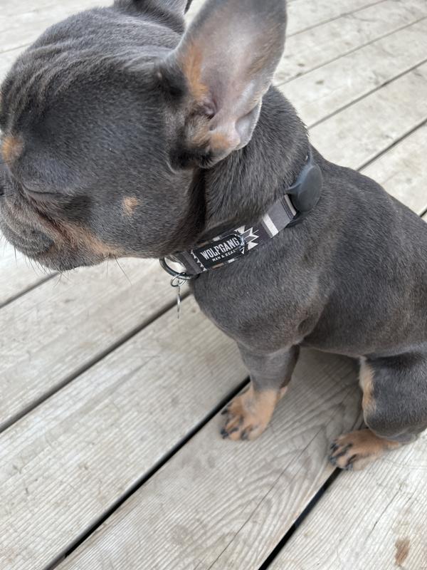 Beast chains dog collars sale